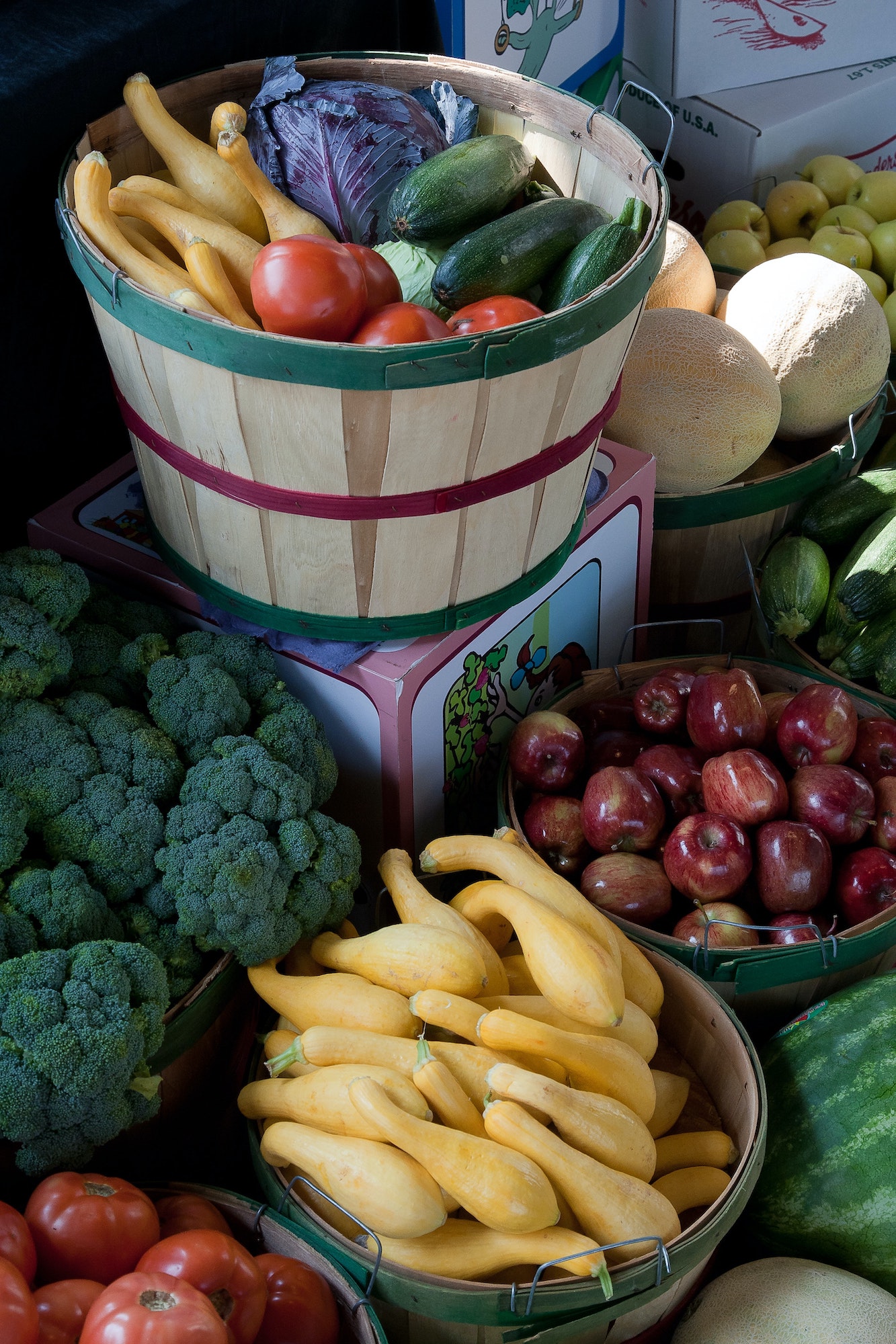 dans le cadre de la mission « Favoriser l’accès à une alimentation saine et durable pour tous », le Fonds Jacques Martel a un projet agricole !