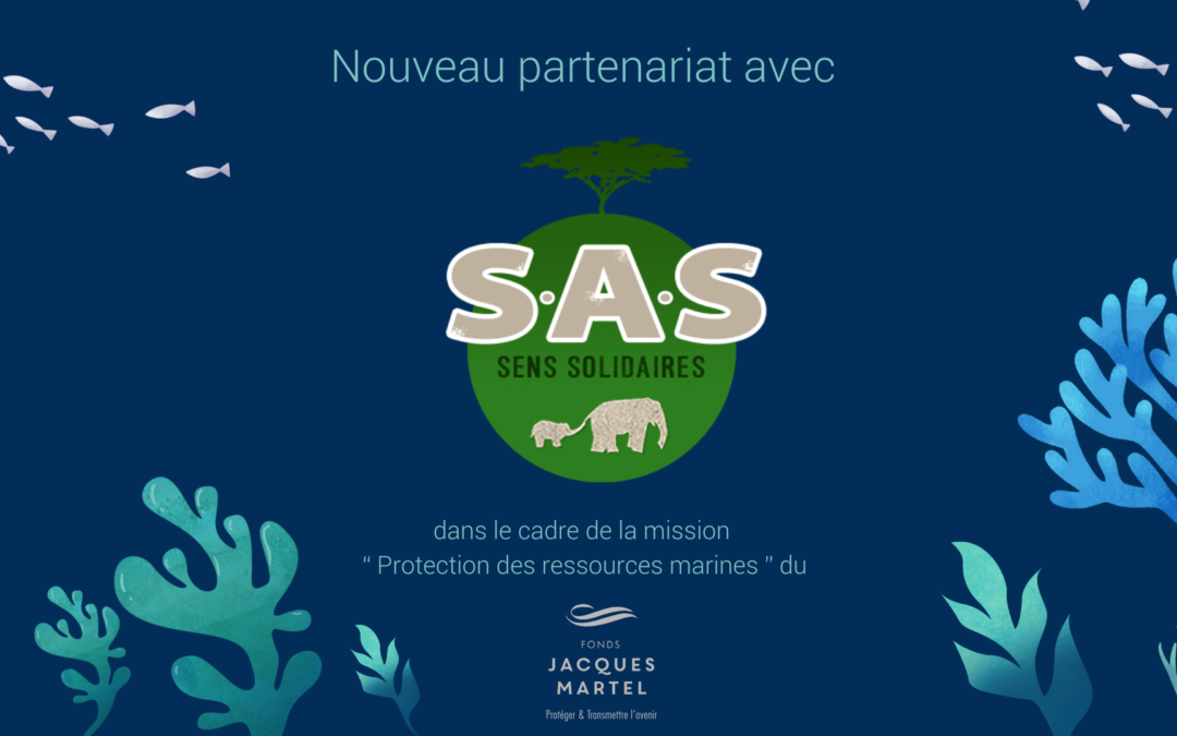 Nouveau projet avec Sens Solidaires