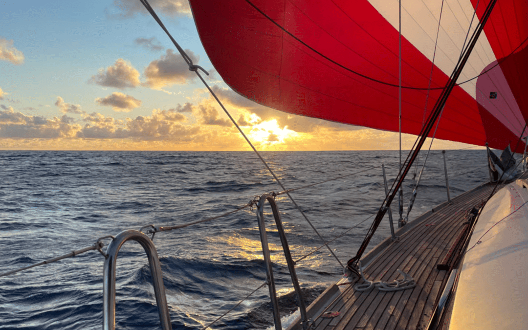 “Objectif Océan”: mid-term review