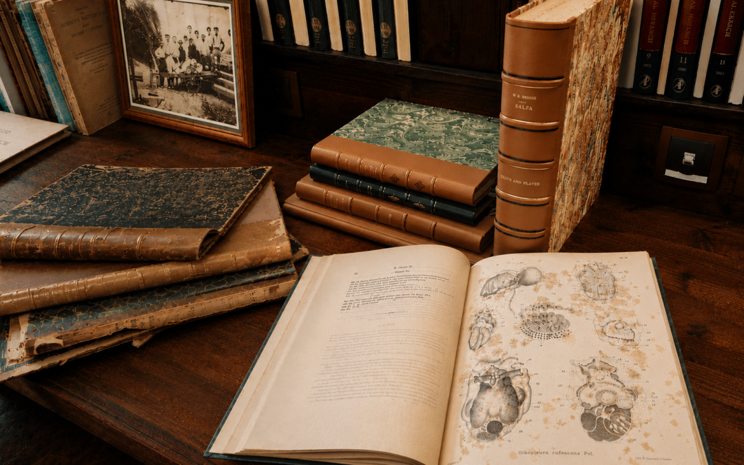Restaurer pour préserver la mémoire du vivant